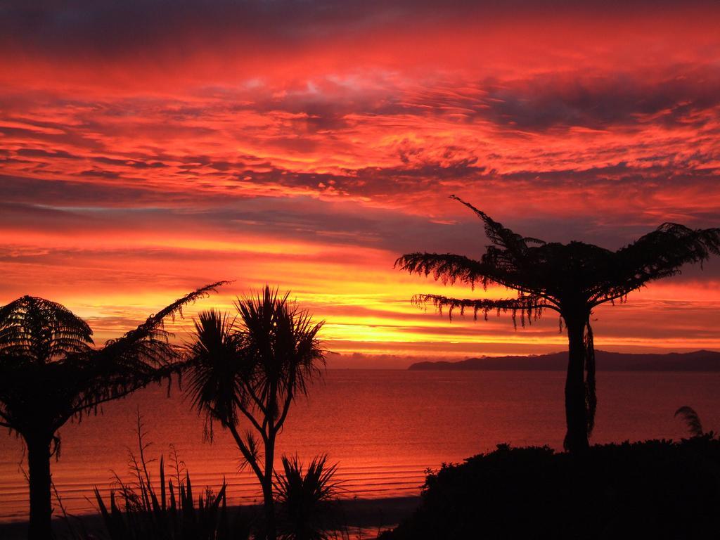 Adrift In Golden Bay- Absolute Beachfront Villas (Adults Only) Collingwood Ruang foto